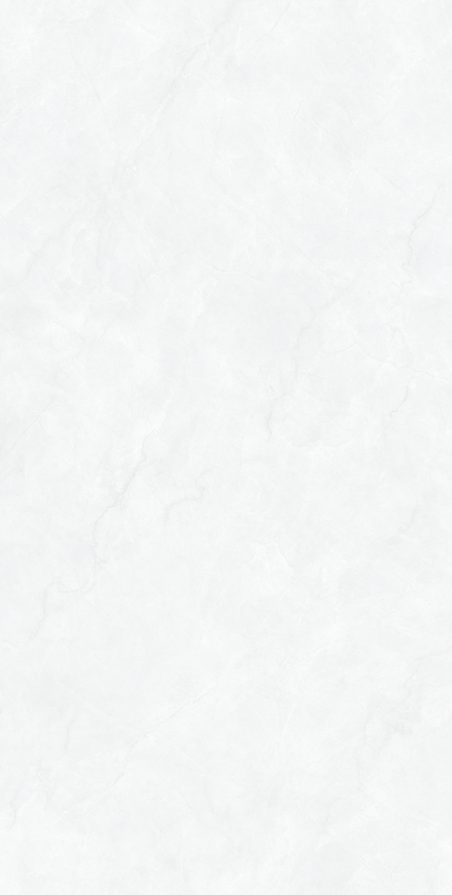 銀霜白灰 MS1899121產品圖