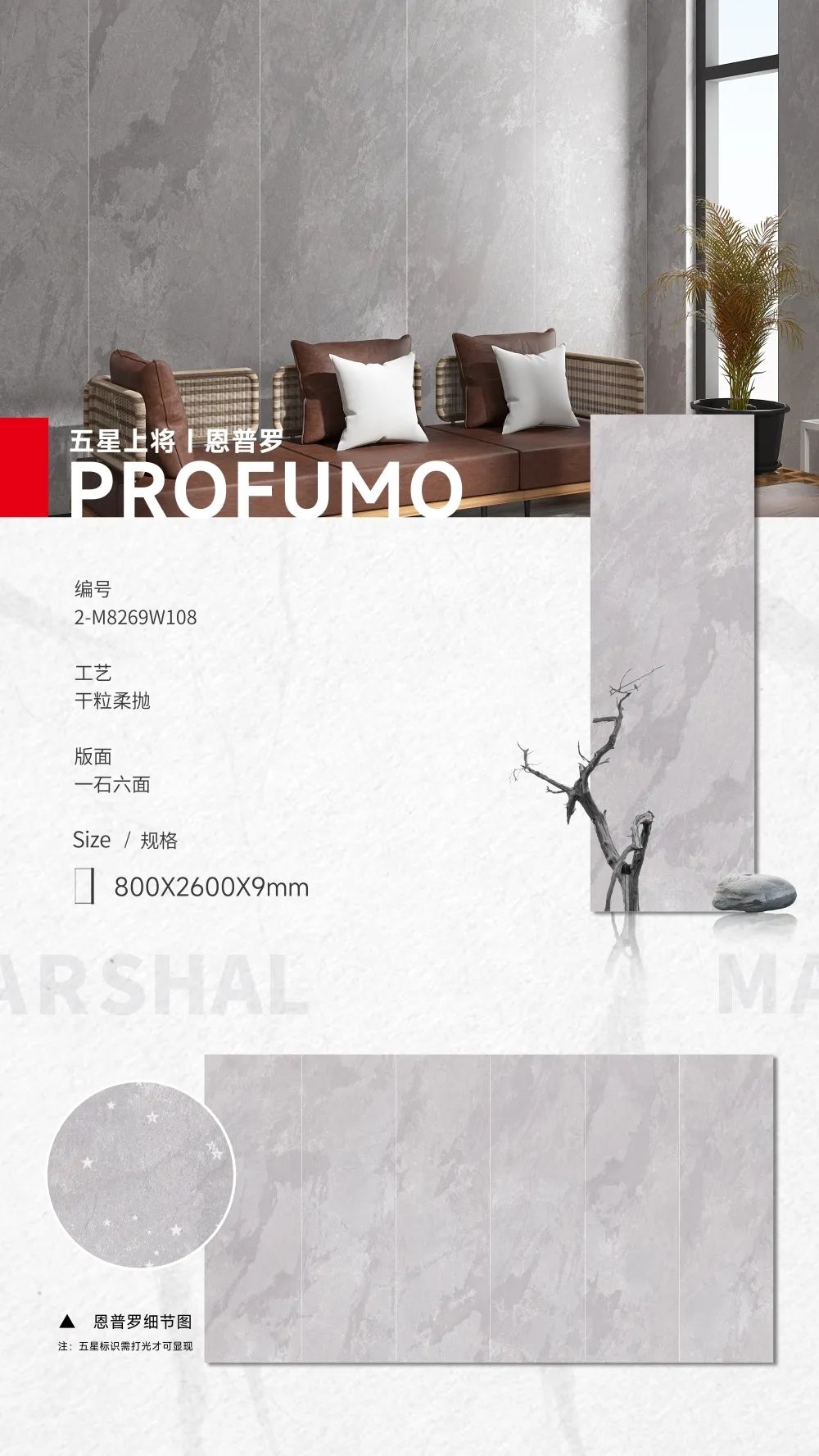 五星上將| 超級IP產(chǎn)品，打造理想生活樣本(圖7)